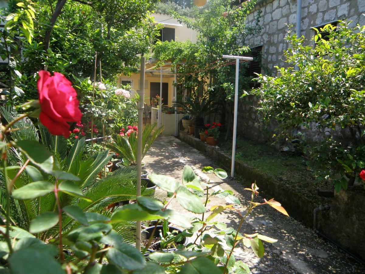 Apartments Solitudo Dubrovnik Kültér fotó